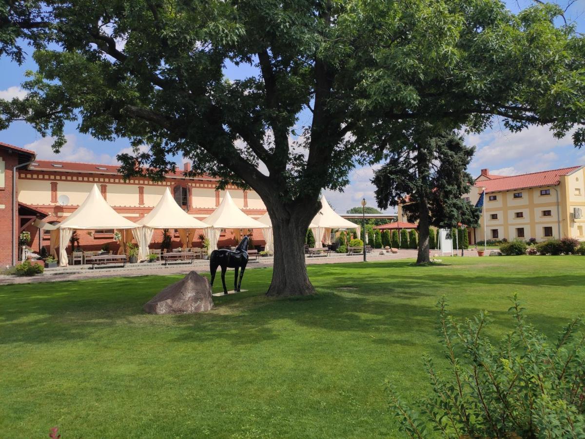 Hotel Sandro Silver & Spichlerz Antoniny ليشنو المظهر الخارجي الصورة